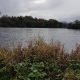 30th October 2018, 13:50